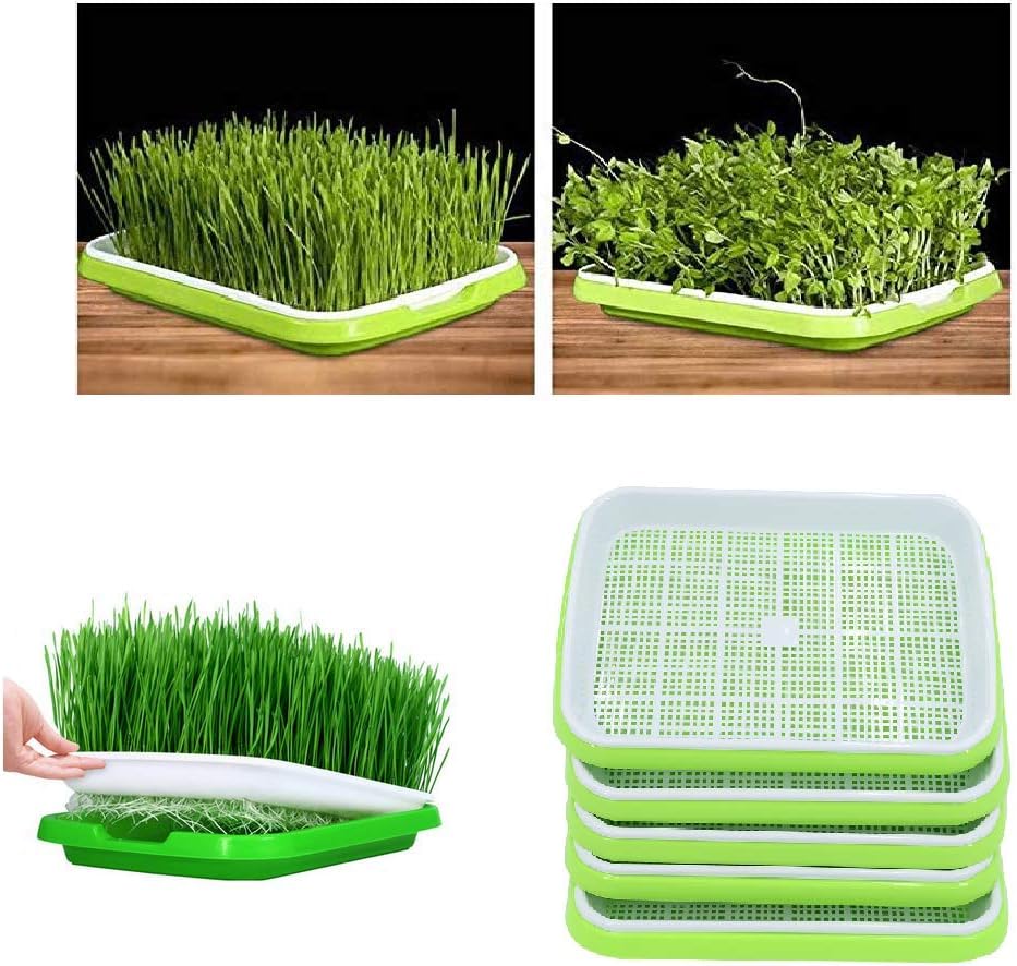 YAKOK Seed Sprouter, 5Pcs Double-layer Seed Propagator Seed Sprouter Tray Sprouting Seeds Tray Seed Germinator