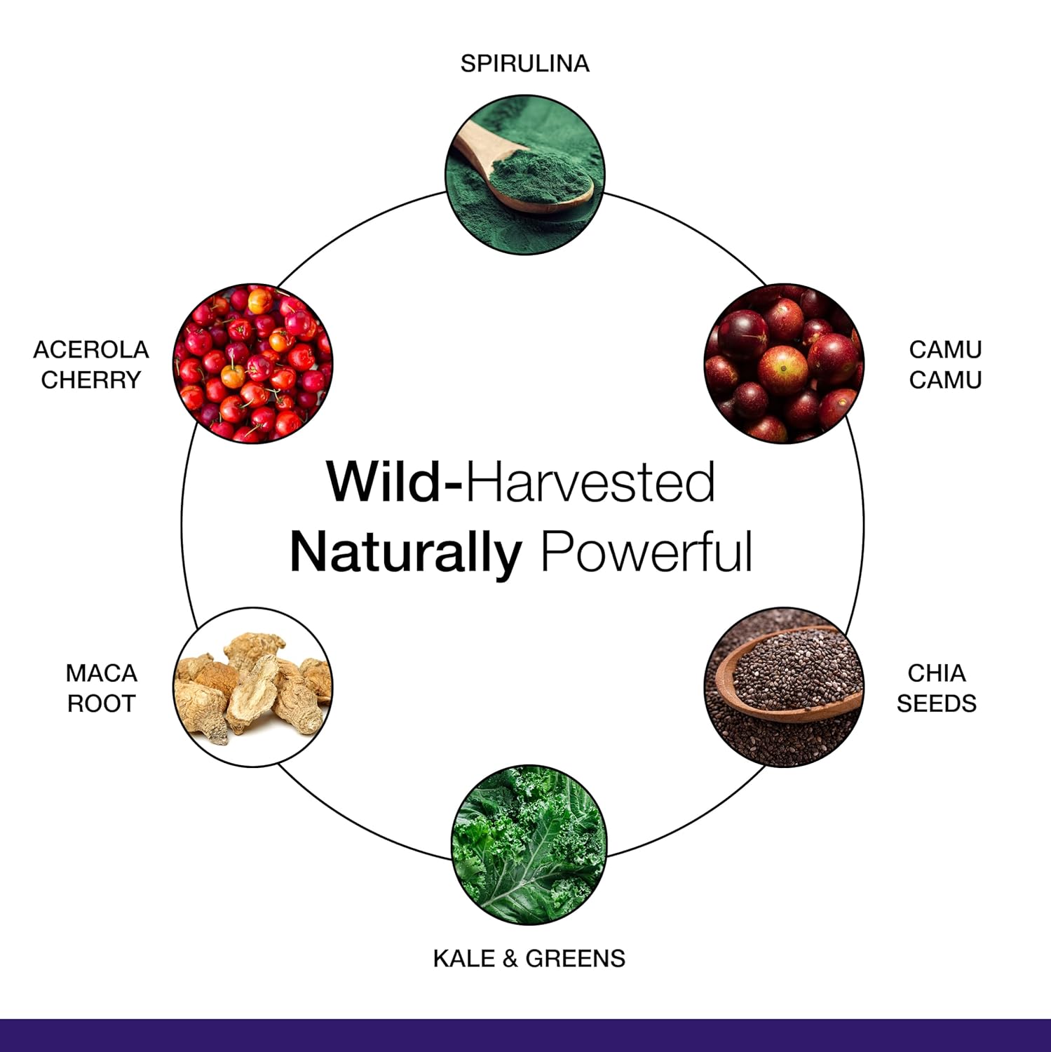 Dr. Schulze's SuperFood Ultra | Organic Super Food Powder | Vitamin B Complex and 520% Vitamin C | May Help Boost Energy & Improve Fitness | Vegan, Non-GMO & Gluten-Free | 17.4 Oz