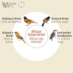 Nature's Way Suspension de verre Oriole Feeder pour Décor extérieur, 30 Capacité d'once Nourrisseur de nectar, Plats de gelée, Porte-fruits oranges, 4 Eash to Clean Ports Flexibles, Mouettes de Fourmis, Gardes d'abeilles, Orange