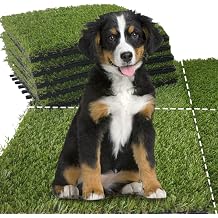 Qingbei Rina Artificial Grass Turf Tiles, 12"x12"/9 Pack