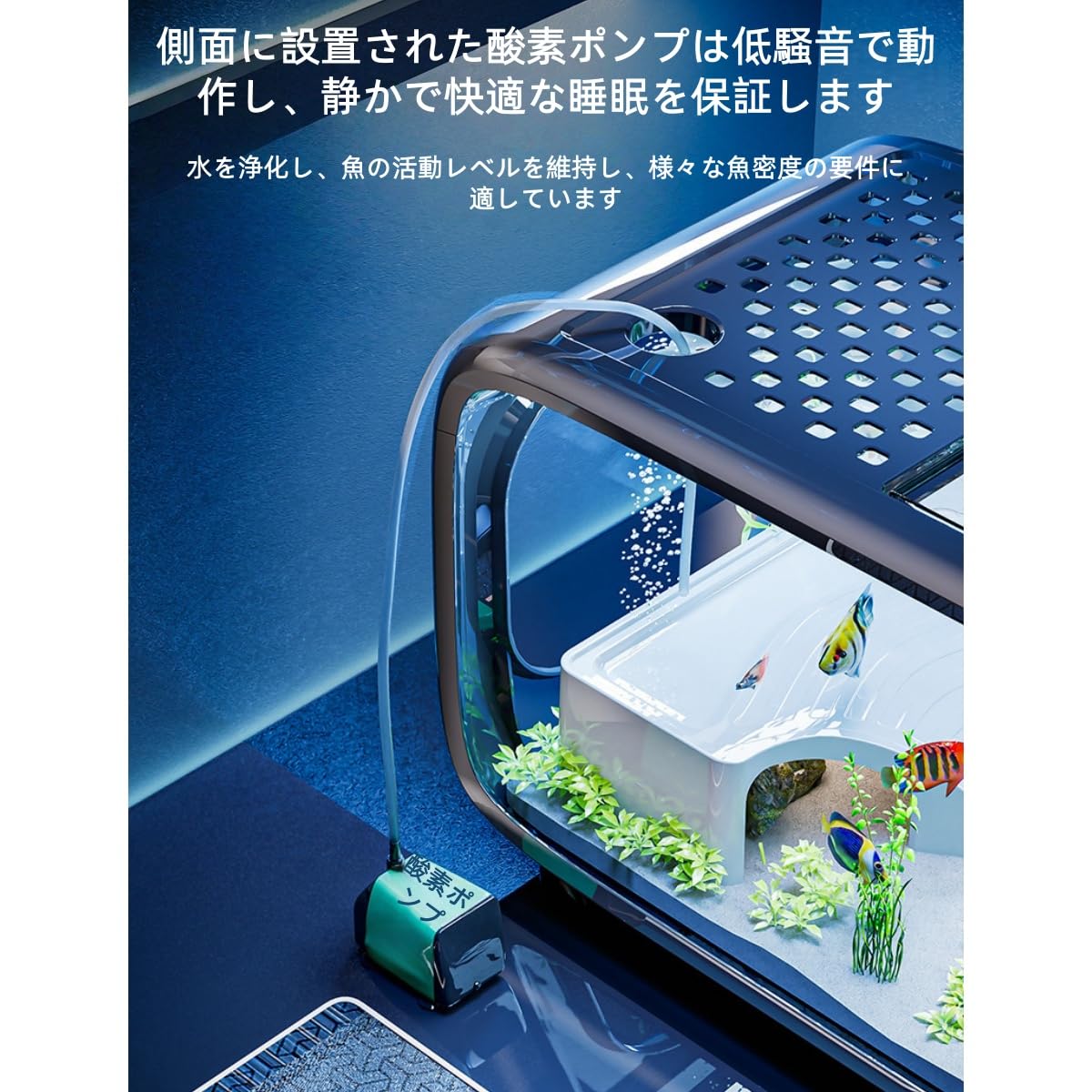Amazon | KOGB水槽、小型、水槽セット ガラス、装飾、上開き蓋、餌入れ