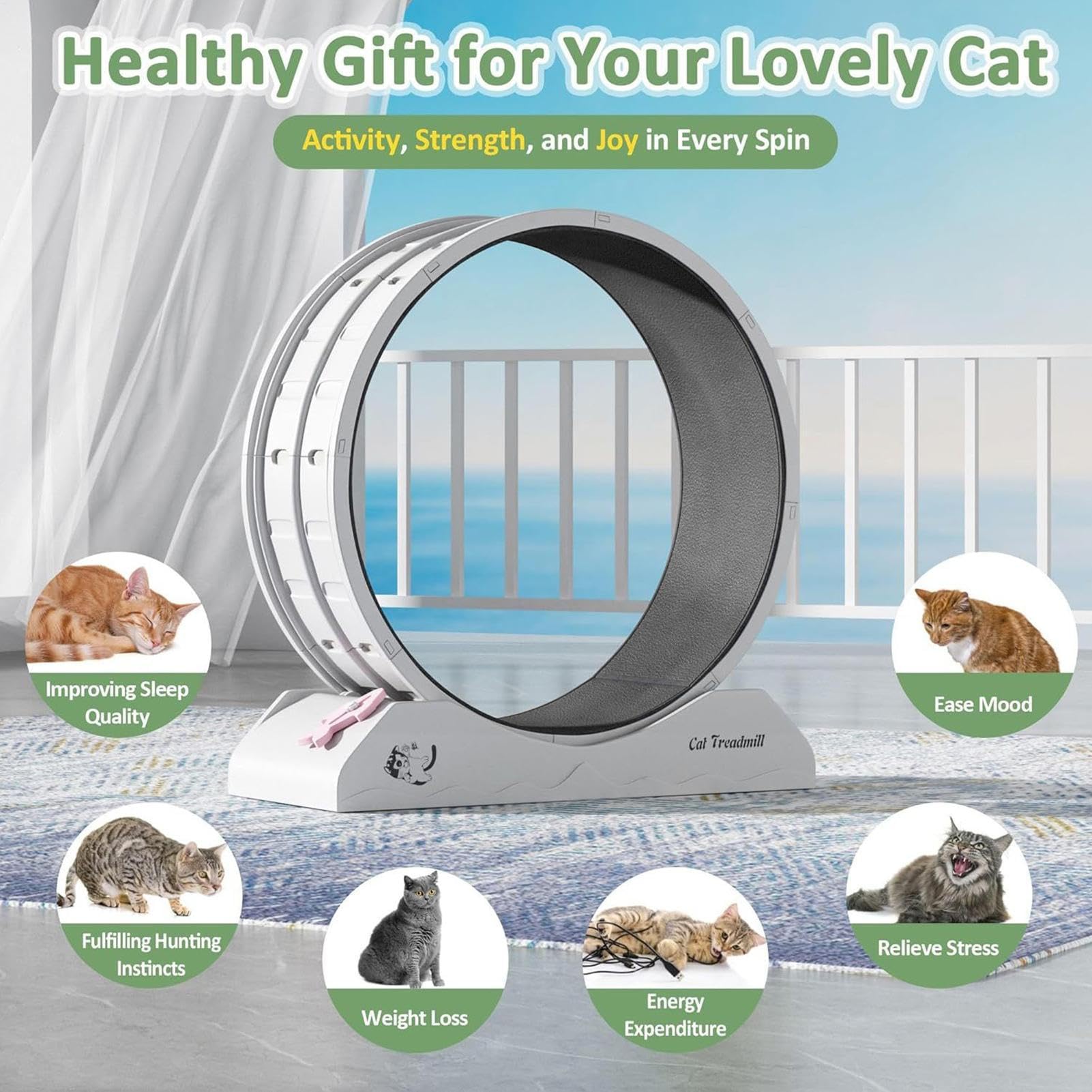 Rueda para Gatos Ejercicio Interactivo Ergonómico Silencioso Antideslizante | Equipo Fitness para Gatitos Rueda De Correr Silenciosa Para Gatos, Juguete Interactivo Interior Y Exterior