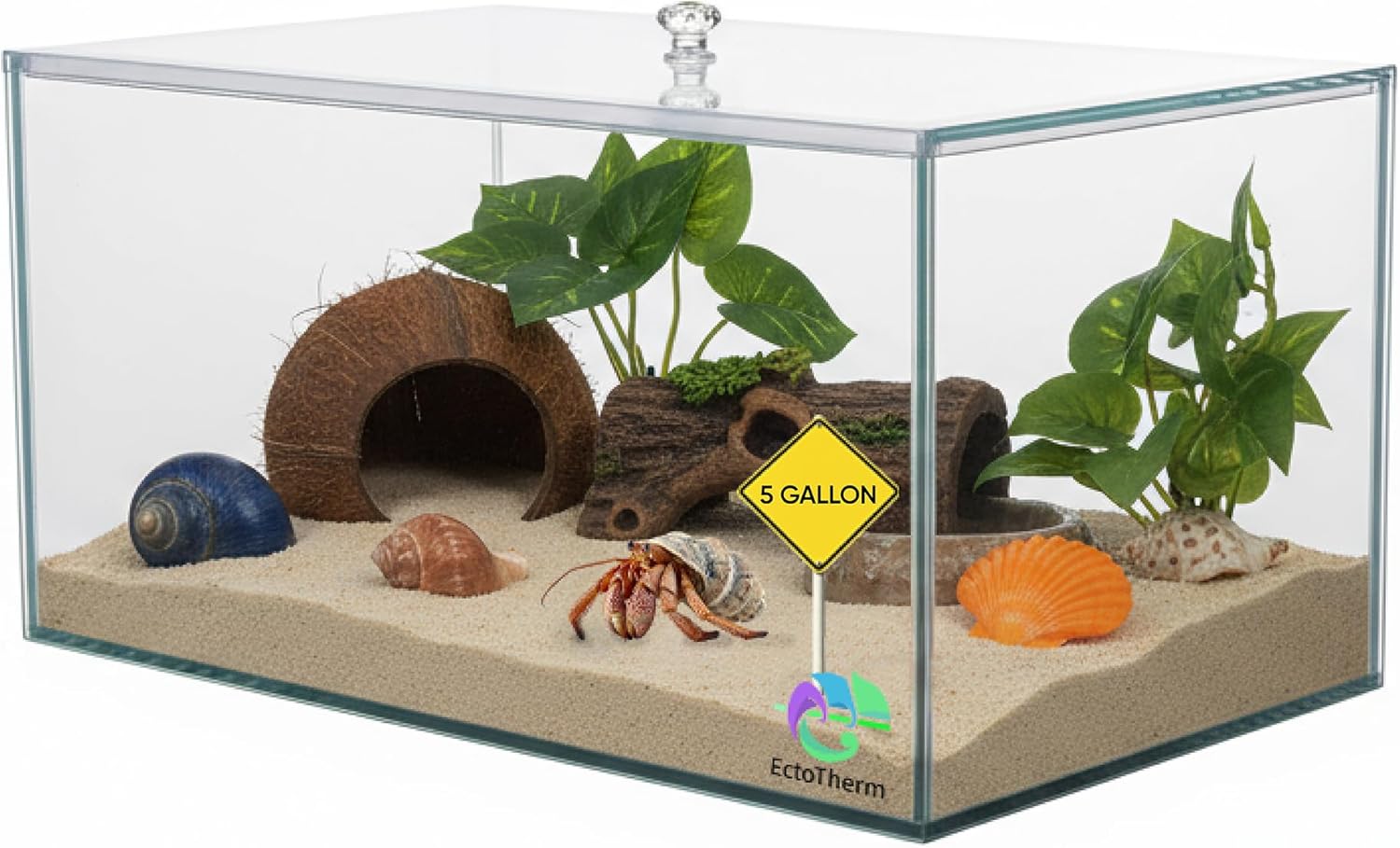 EctoTherm Hermit Crab Tank - 5 Gallon Tank with Lid - Complete Hermit Crab Cage for Large & Small Crabs - Glass Tank