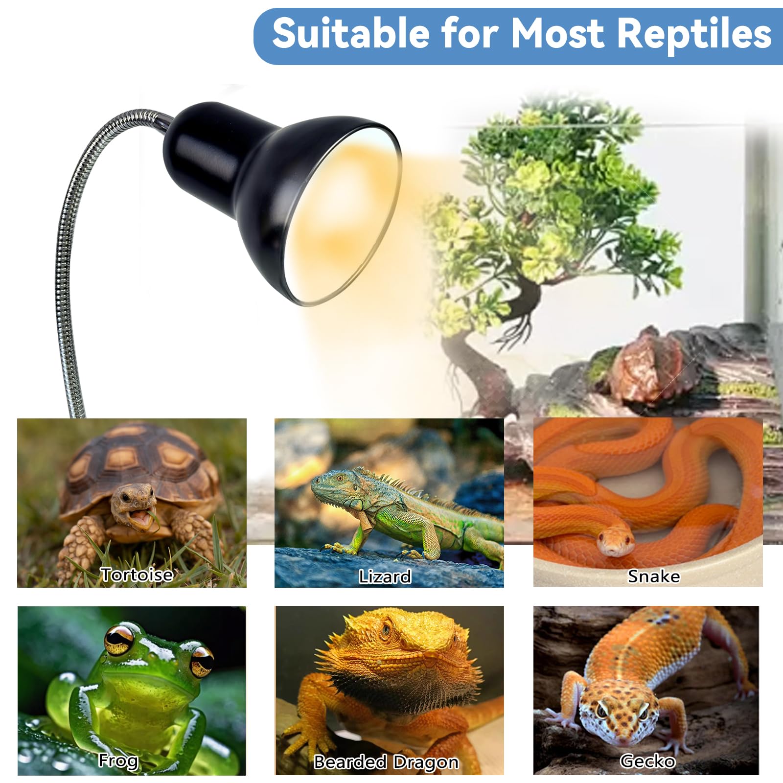 BNOSDM Reptile Heat Lamp, UVA UVB Reptile Light Bulb 25W & 50W Basking Light with 360&deg; Rotatable, Tortoise Heat Lamp for Turtle Lizard Snake Chick Cockatoo - image 7