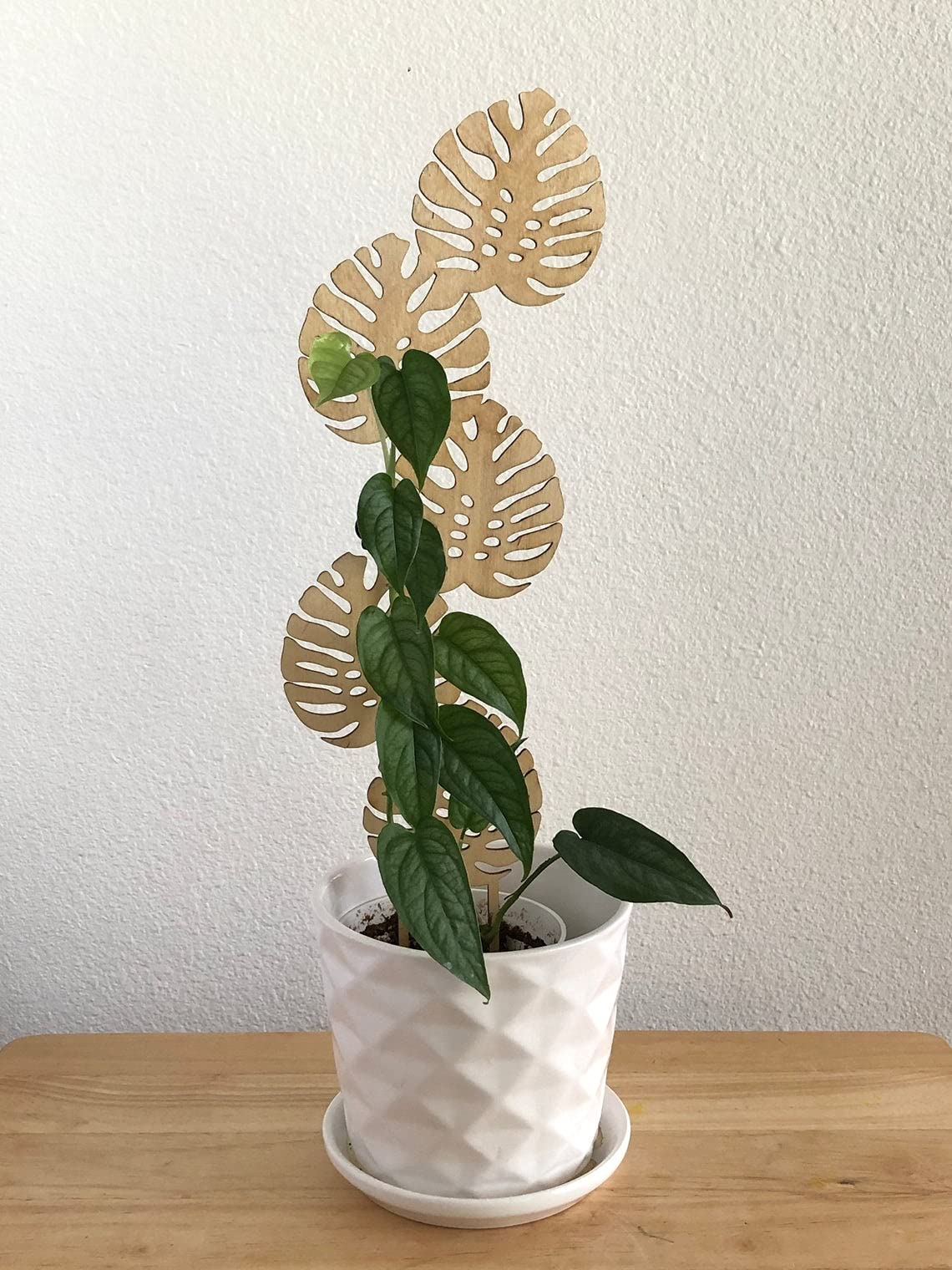 Whittlewud Monstera Leaf Plant Trellis, Plant Supporter, Garden Trellis, Shingle Plant Trellis, Plant Lover Gift, Moss Pole, Plant Gifts (16.5 inches x 5 inches) (B09BNRGTHY) Amazon Price History, Amazon Price Tracker