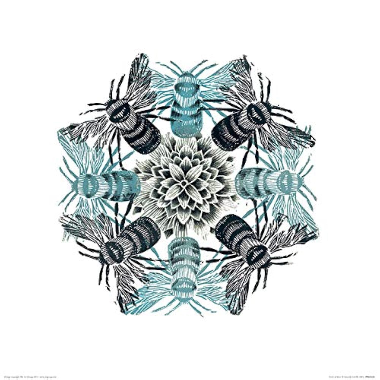 The Art Group "Amanda Colville Circle of Bees Paper Art Print, Multi-Colour, 40 x 40 x 1.3 cm