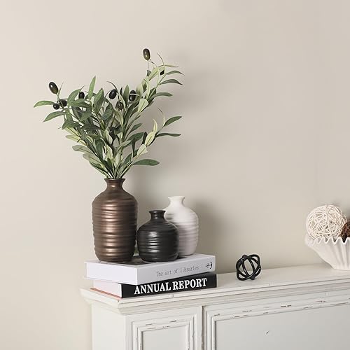 Miniatura 4 de Juego de 3 jarrones de cerámica decorativos para decoración del hogar, decoración moderna de granja, jarrones neutros de cerámica para sala de