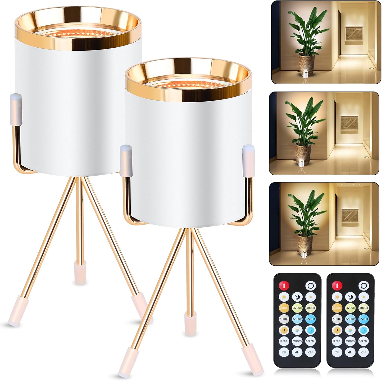 Spot Lights Indoor Floor Lamp, 6W Uplighting Indoor with Remote, Dimmable & Timer & 3 Color Temperatures, 2700K to 6500K Floor Can lightsfor Plants Pictures Corner Lights Ambient Lighting, 2 Pack