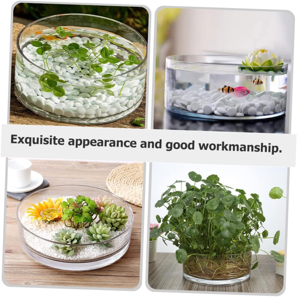 GALPADA Glass Vase Round Flower Vase Glass Hydroponic Pot for Terrarium Decor Plant Pot for Home
