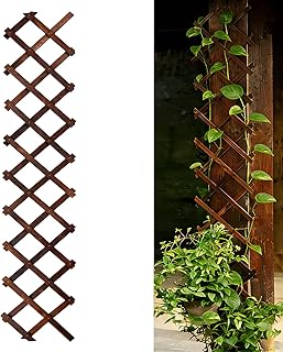 Expandable Garden Trellis, Wooden Lattice Wall Fence Trellis for Climbing Plants Ivy Vine Rose Clematis 13" x 68" for Outdoor Garden Patio Room Decor (1)
