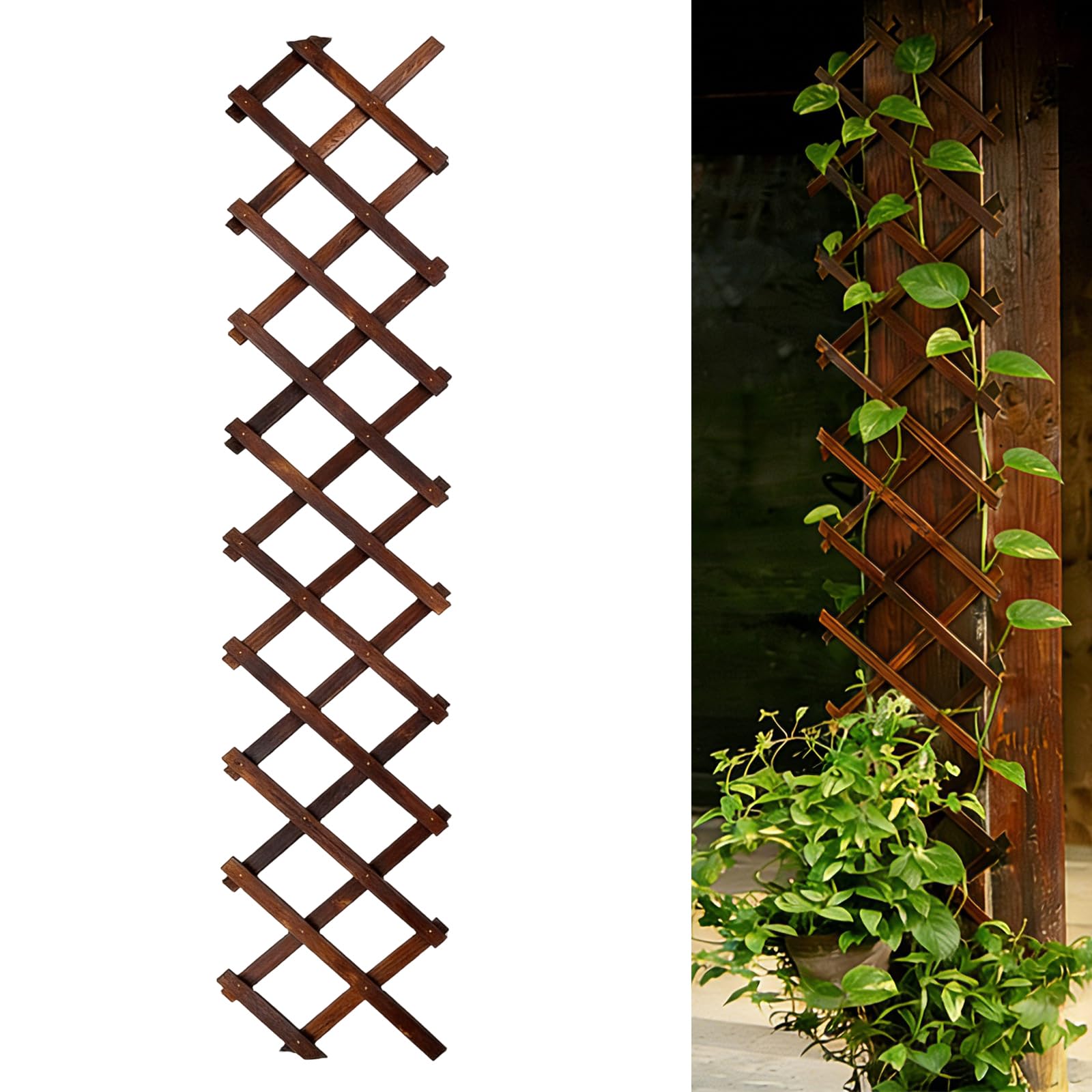 Expandable Garden Trellis, Wooden Lattice Wall Fence Trellis for Climbing Plants Ivy Vine Rose Clematis 13" x 68" for Outdoor Garden Patio Room Decor (1)