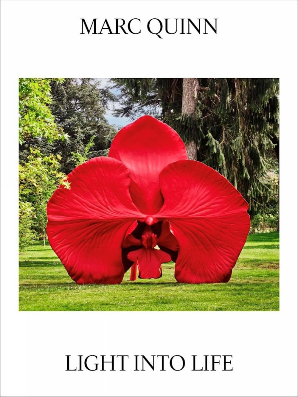 Marc Quinn Light Into Life by Marc Quinn PAPERBACK 9781842468258