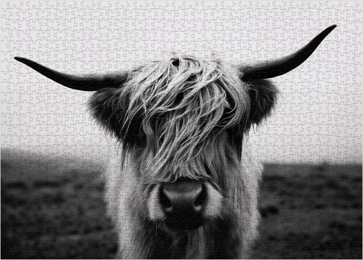 Black White Highland Cow Puzzles for Adults 1000 Pieces,Impossible Hard Difficult Challenging Aesthetic Jigsaw Puzzles, Art Animal Puzzle