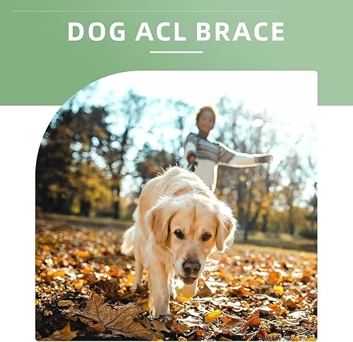 Miniatura 7 de Rodillera para perro para lesiones de ACL/CCL, ligamento desgarrado, alivio del dolor, calor en las articulaciones, rótula luxante, soporte de