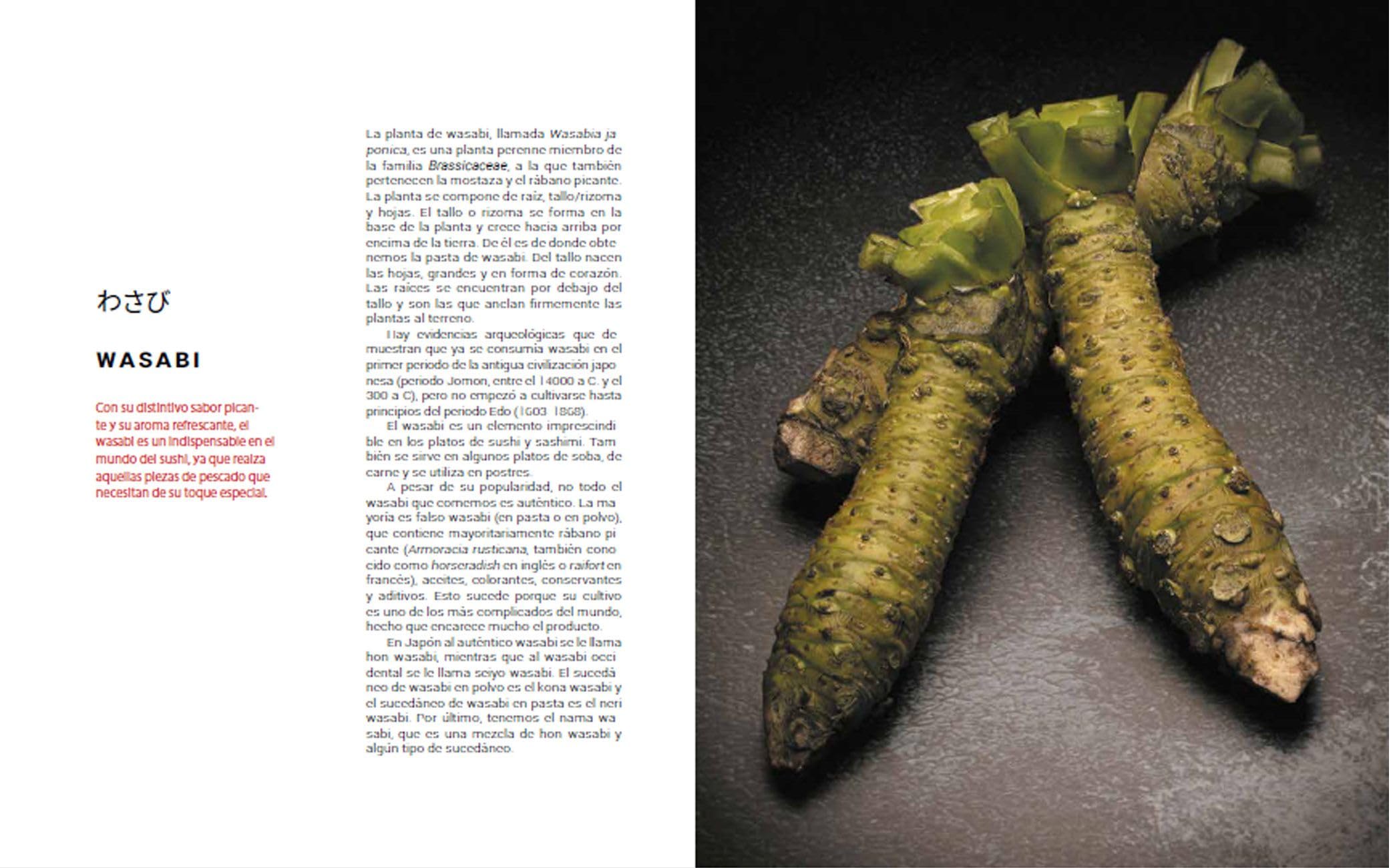 El mundo del sushi (Cocina Temática)