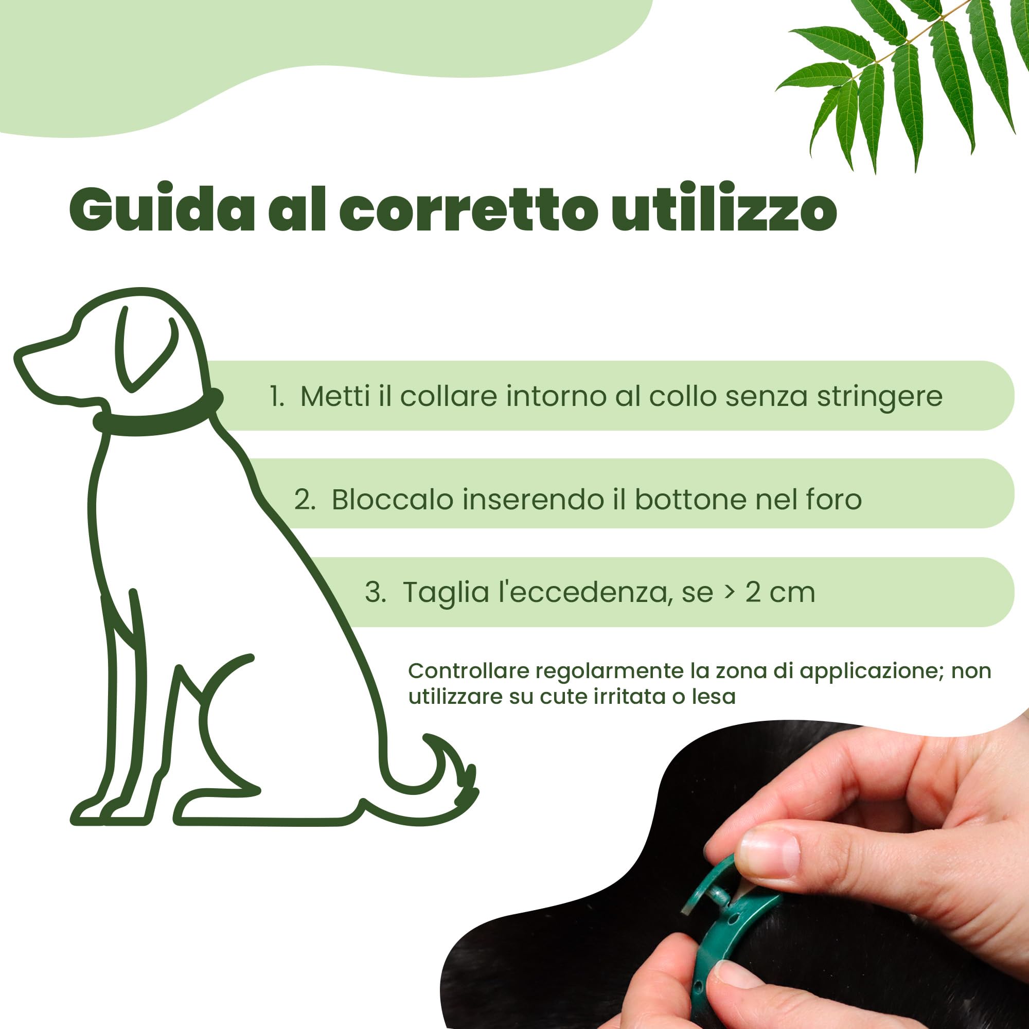 CAMON | Collare Olio di Neem per Cani di Taglia Piccola, 35cm, Protezione Naturale