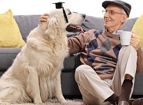 Vista 23 de KESYOO 4 mini gorras de graduación para mascotas, sombreros de graduación para perros pequeños con borla amarilla, disfraz de graduación