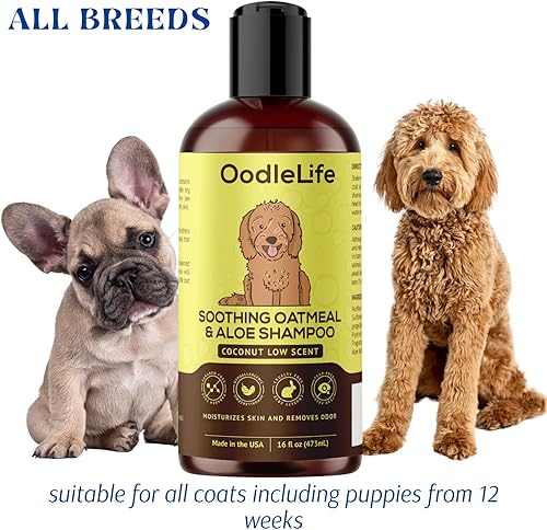 Miniatura 4 de Goldendoodles - Champú y acondicionador para perros, aloe avena + coco, 16 onzas líquidas, champú natural para perros sensibles para razas de