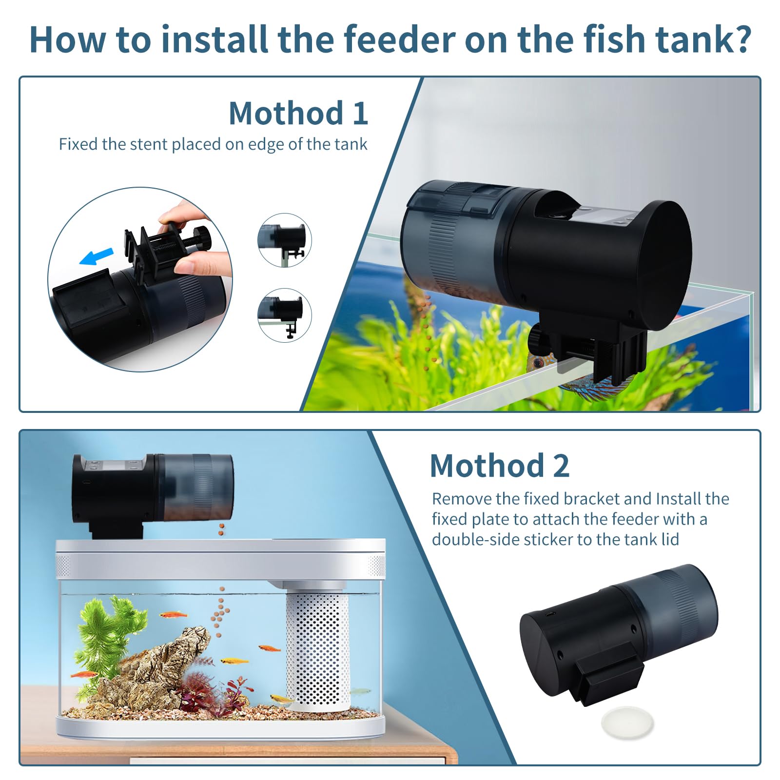 Podazz Mangeoire automatique pour poissons