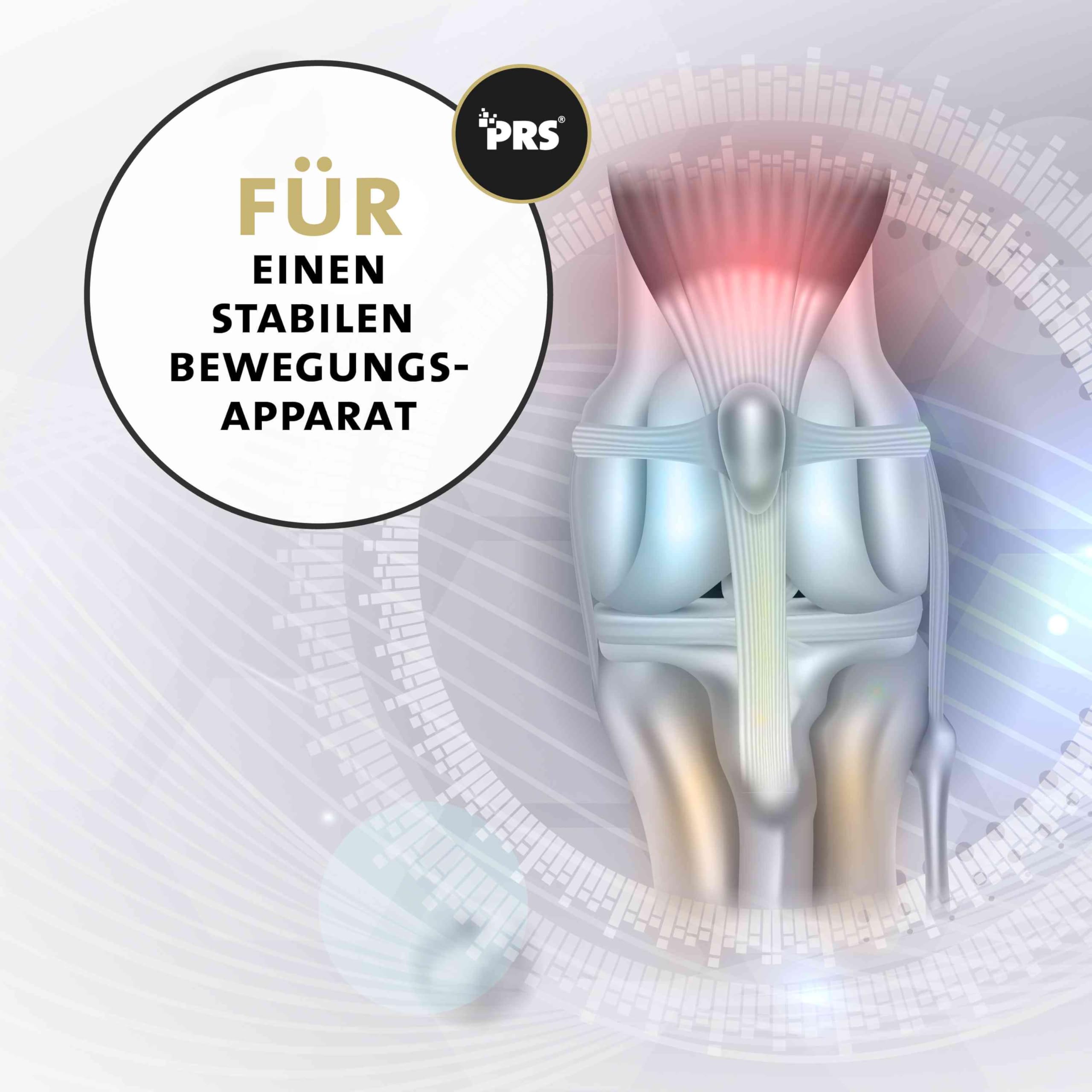 Peticare PetDog Health 2502 proszek stawowy dla psów, z MSM, kolagenem, wspiera stawy, układ mięśniowo-ruchowy, ruchliwość po obciążeniu, bez tabletek, kapsułek, środek do karmy uzupełniającej