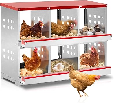 Outvita Chicken Nesting Box, 6 Compartments Roll Away Nesting Boxes, 6 Room Wall Mountable Egg Laying Boxes for Hen, Red