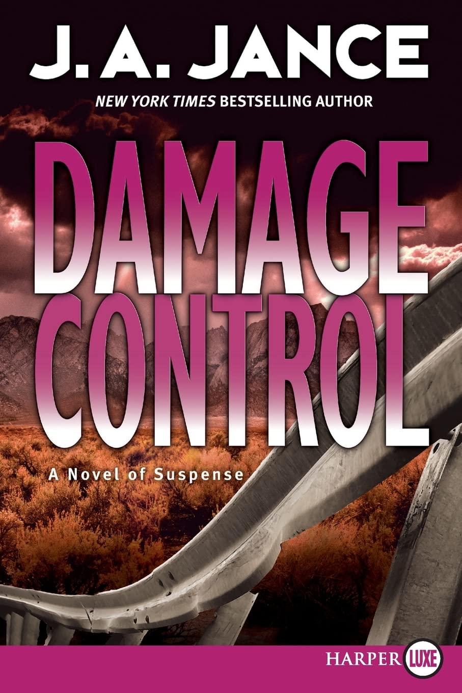 Damage Control: A Novel of Suspense (Joanna Brady Mysteries, 13)