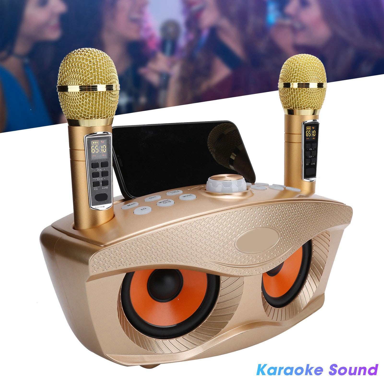 Semme Altoparlante per Karaoke Familiare con Doppio Microfono Portatile, Stereo Portatile da Esterno con Funzione di Annullamento Vocale (GOLD)