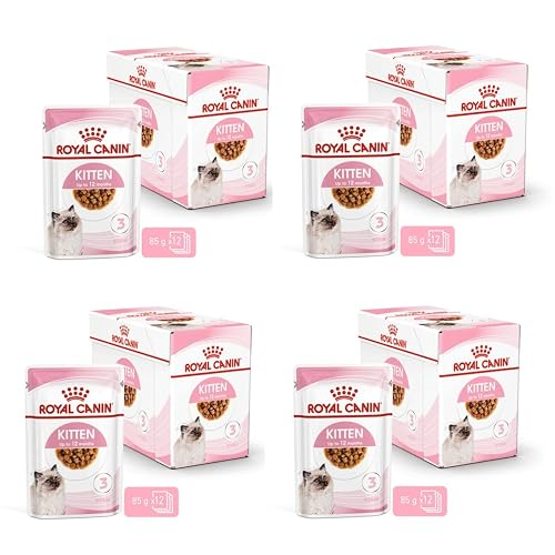 Royal Canin Kitten Comida húmeda
