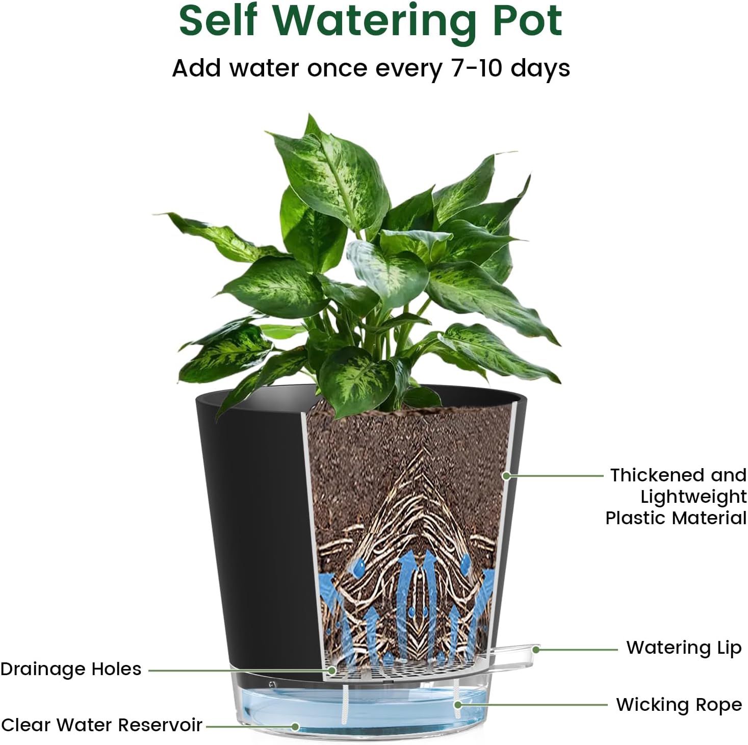 Meowell 6 inch Self Watering Pots for Indoor Outdoor Plants, 6 Pack Flower Plant Pots with Drainage Holes and Clear Reservoirs, Visible Water Level, Plastic Planters with Wicking Rope, Black