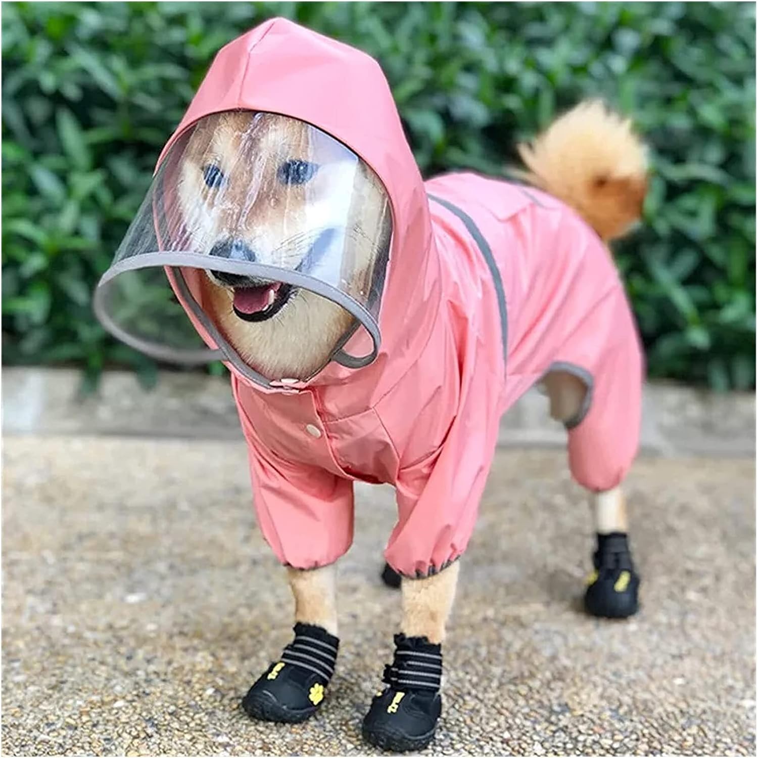poodle raincoat
