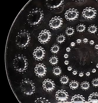 Amazon.co.jp: ルネ・ラリック 高級硝子皿18cmプレート アスター