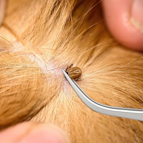 Miniatura 7 de Rypet Juego de herramientas para eliminar garrapatas, kit de eliminación de garrapatas de acero inoxidable para gatos, perros y humanos (paquete de