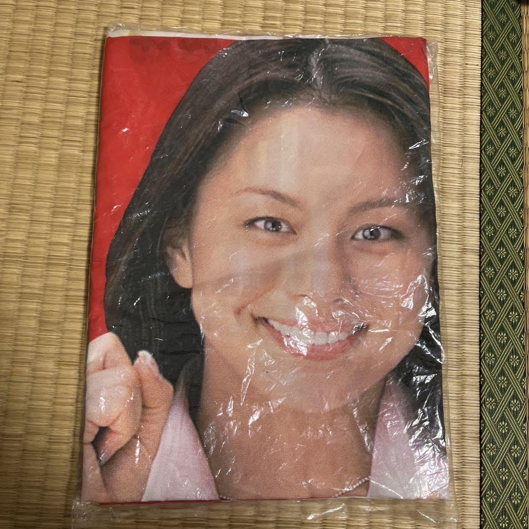 Amazon.co.jp: 米倉涼子 幟旗 のぼり いい部屋ネット グッズ : おもちゃ