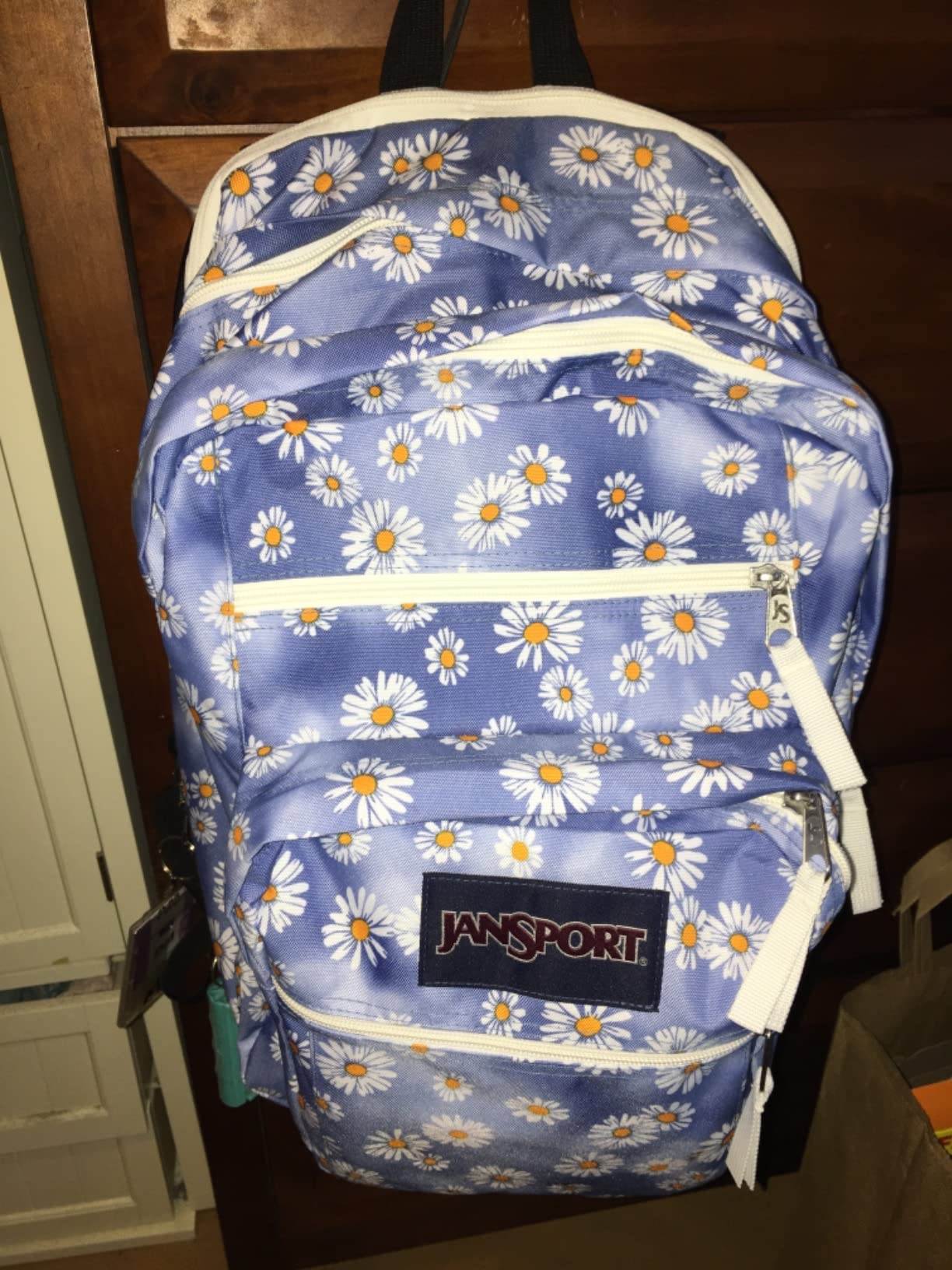 15/mo Finance JanSport Traditional Backpacks, Daisy Haze, One Size