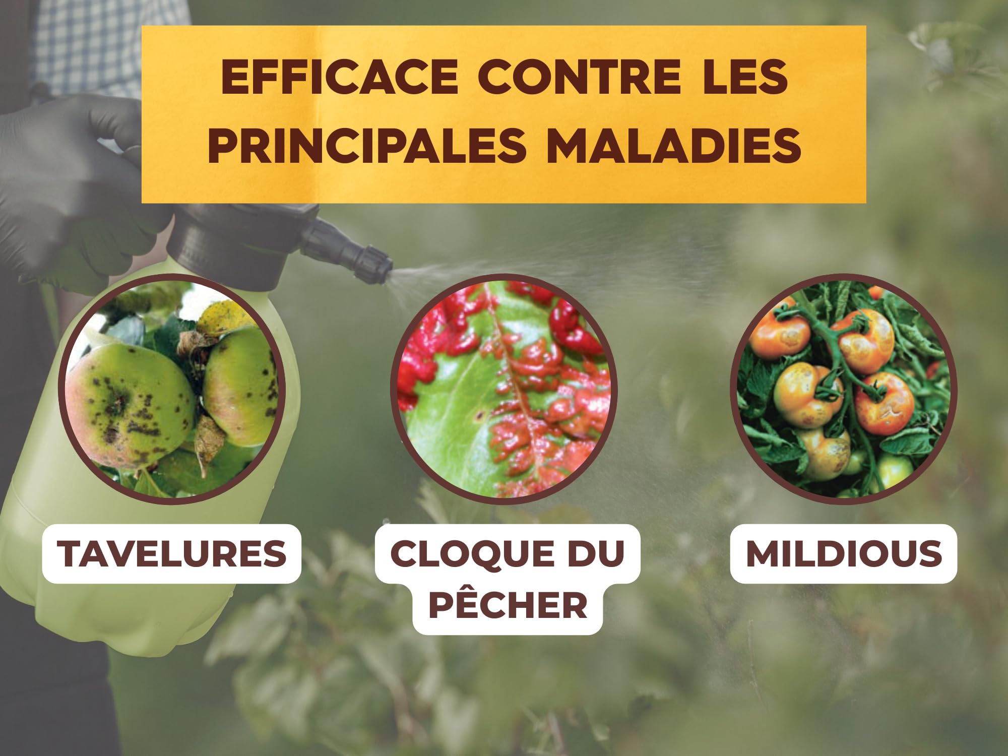 SOLABIOL Bouillie Bordelaise - Sachets Hydrosolubles - 50L de Solution 200g | Fongicide Polyvalent - Préventif - Mildiou, Tavelure, Cloque du Pêcher - Non Colorée - SOBOU200S