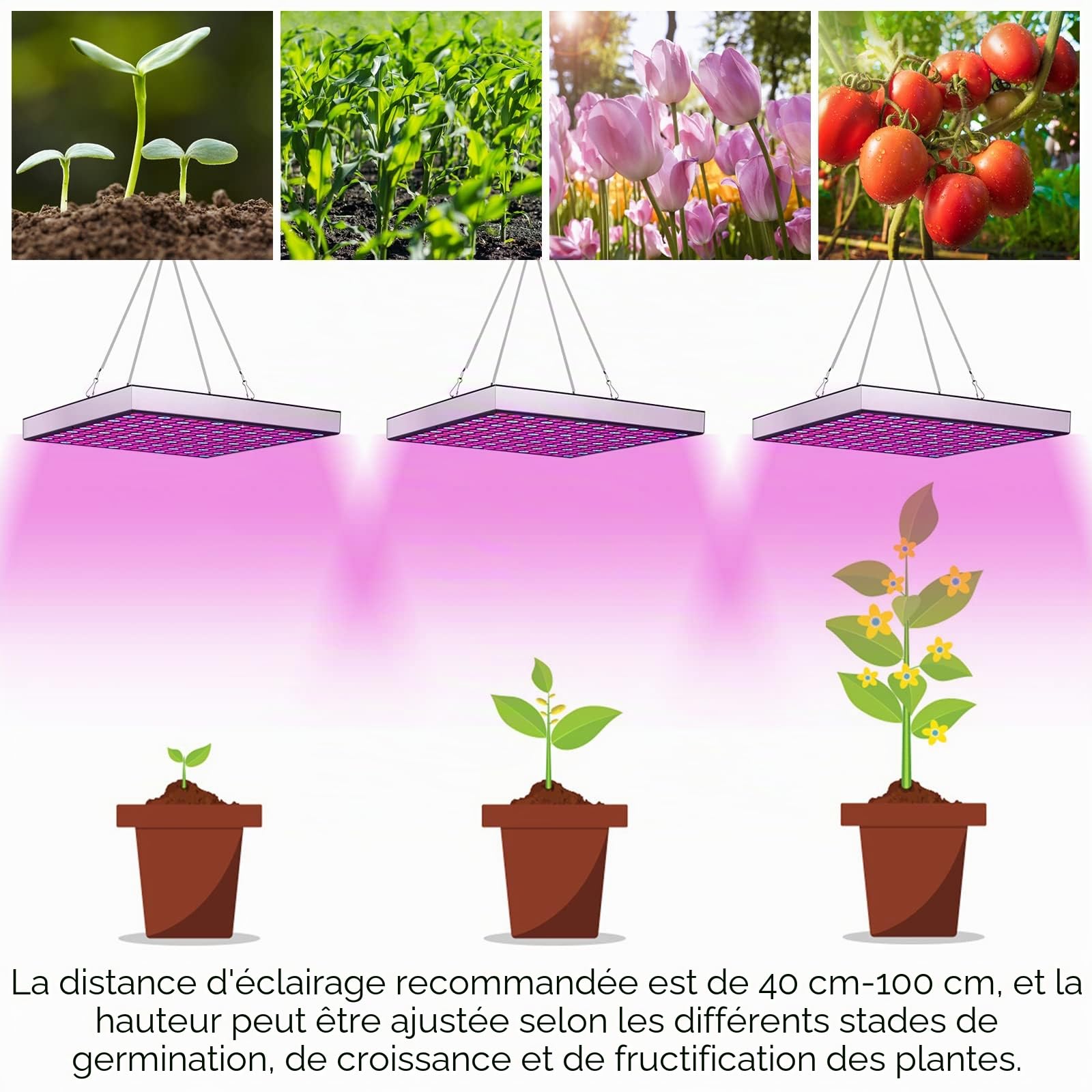 Lospitch 2pcs 45W Lampe Horticole LED Croissance Floraison, Lampe de Culture LED Grow Light Indoor 225LEDs Lumière Rouge et Bleue, LED de Croissance à Spectre Complet pour Plantes Ensemencant