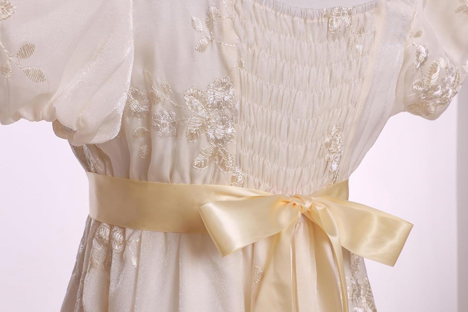 Regency Dresses for Women Exquisite Embroidery Empire Waist Dress - Image 5