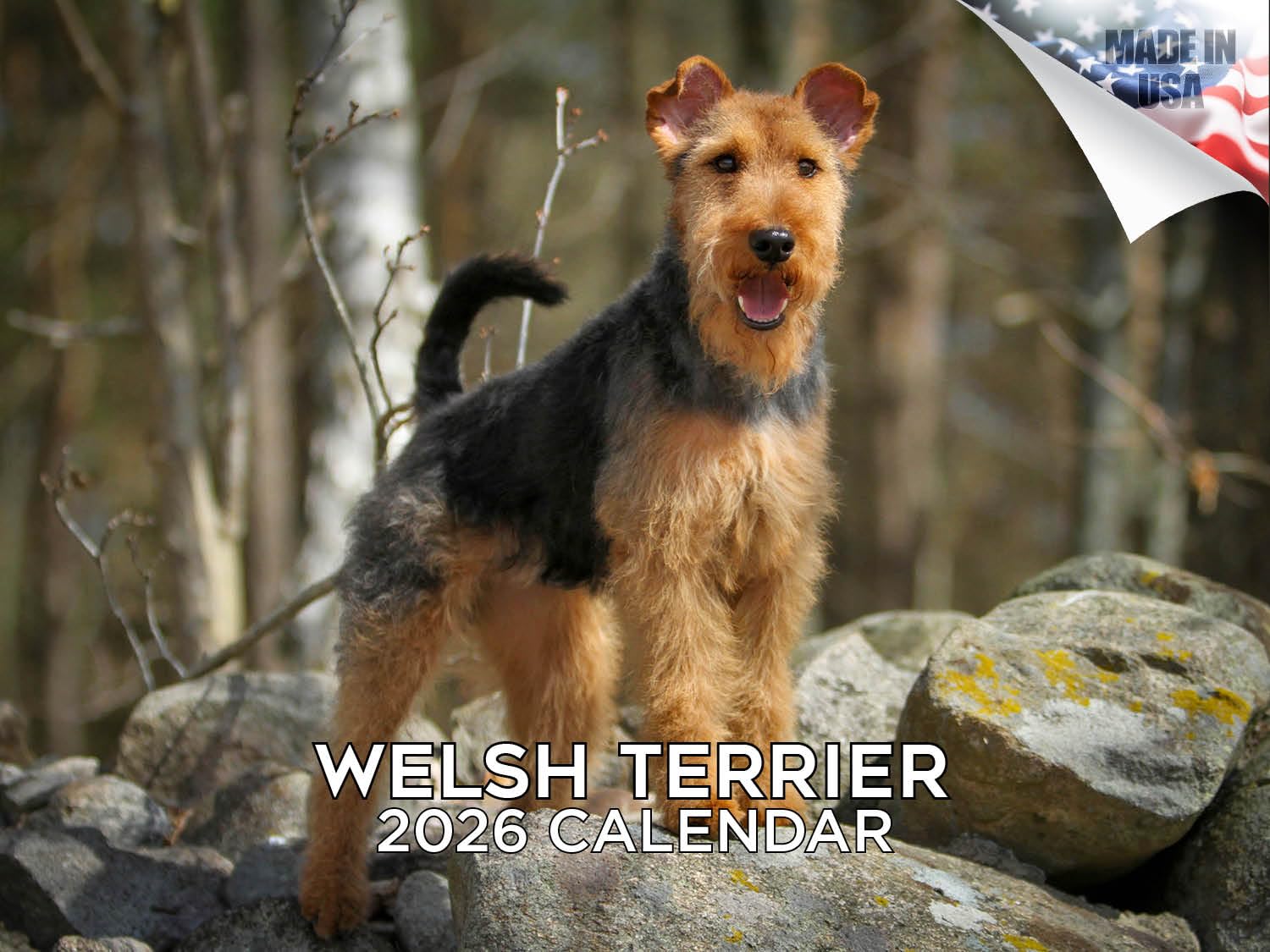2025 2026 Welsh Terrier Calendar - Dog Breed Monthly Wall Calendar - 12" x 18" Open - Thick No-Bleed Paper - Giftable - Academic Teacher's Planner