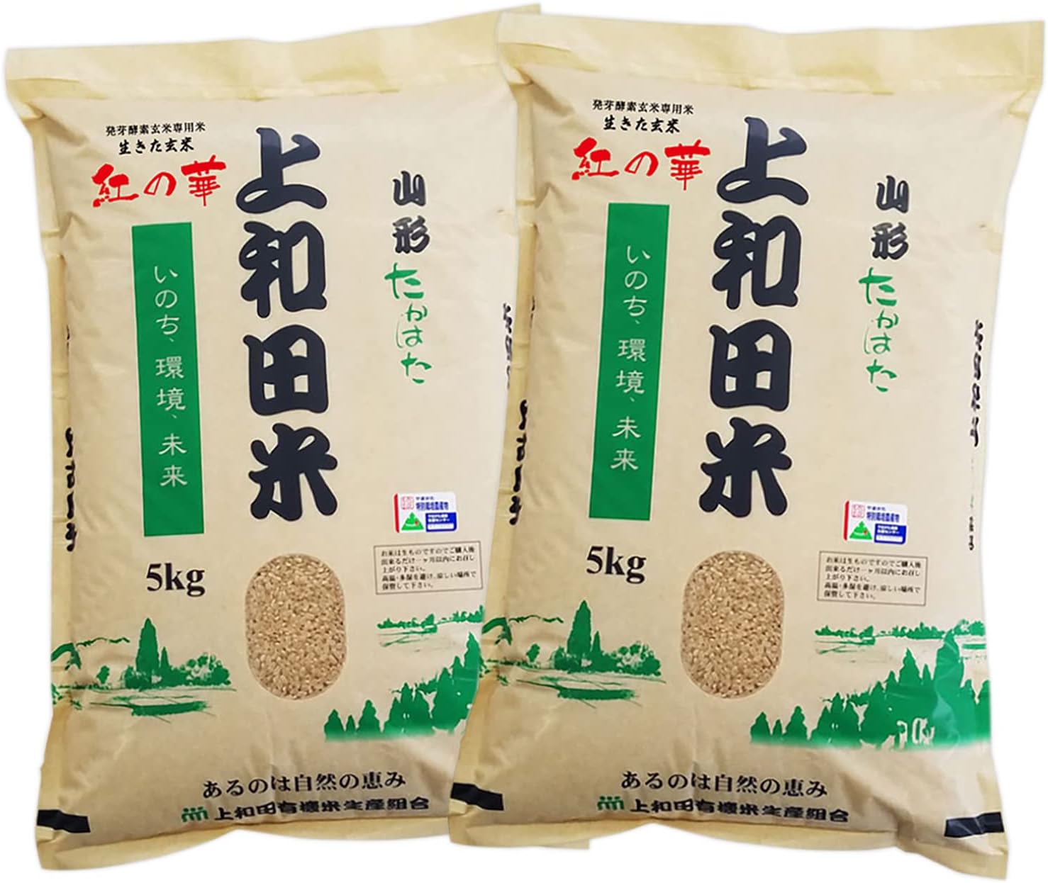 玄米酵素ハイゲンキビフィズス乳酸菌プラス 酵素 玄米