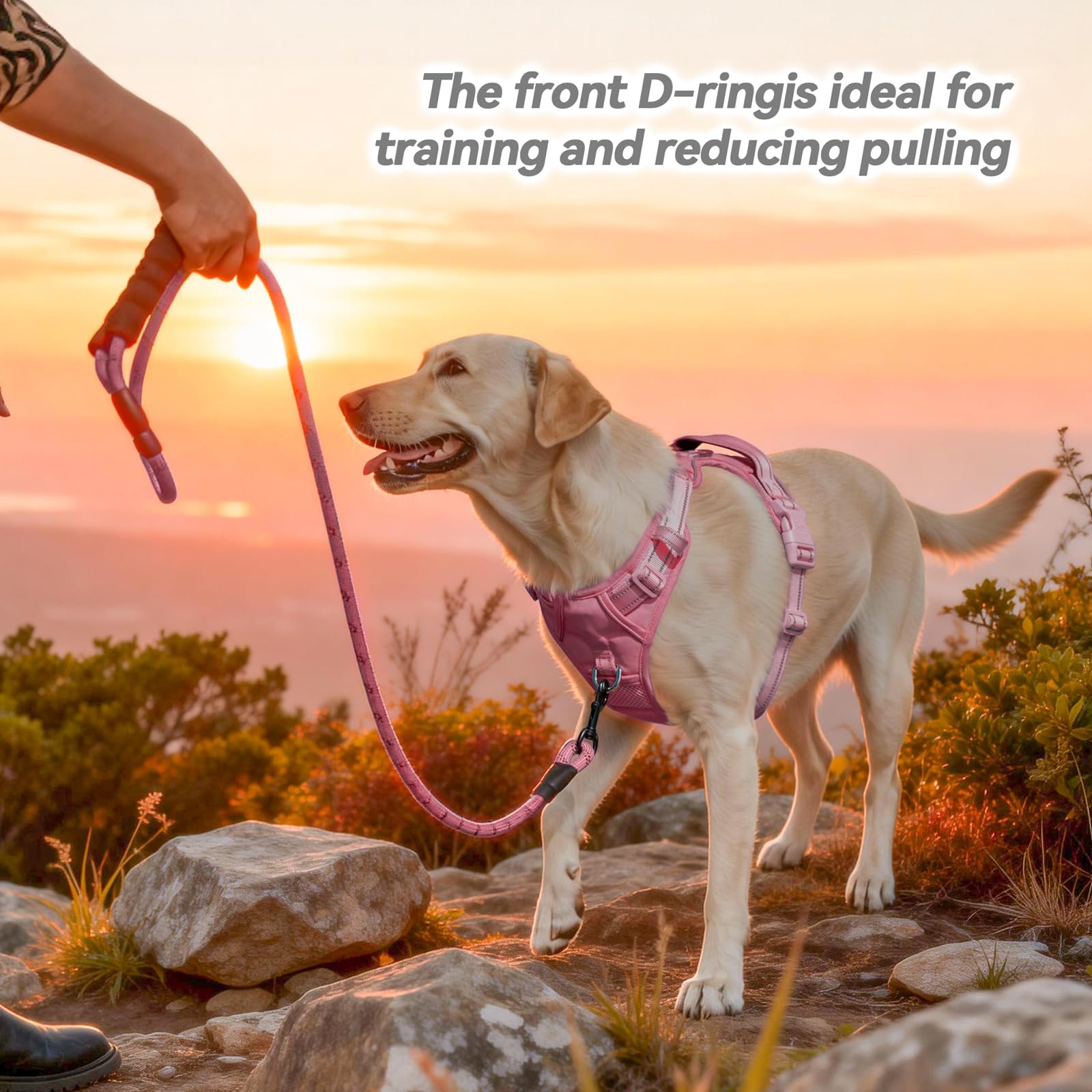 PoyPet Imbracatura per cani non pull, pettorina riflettente per cani senza choke, regolabile, morbido e imbottito, con manico Easy Control per cani di piccola e grande taglia (rosa, M)