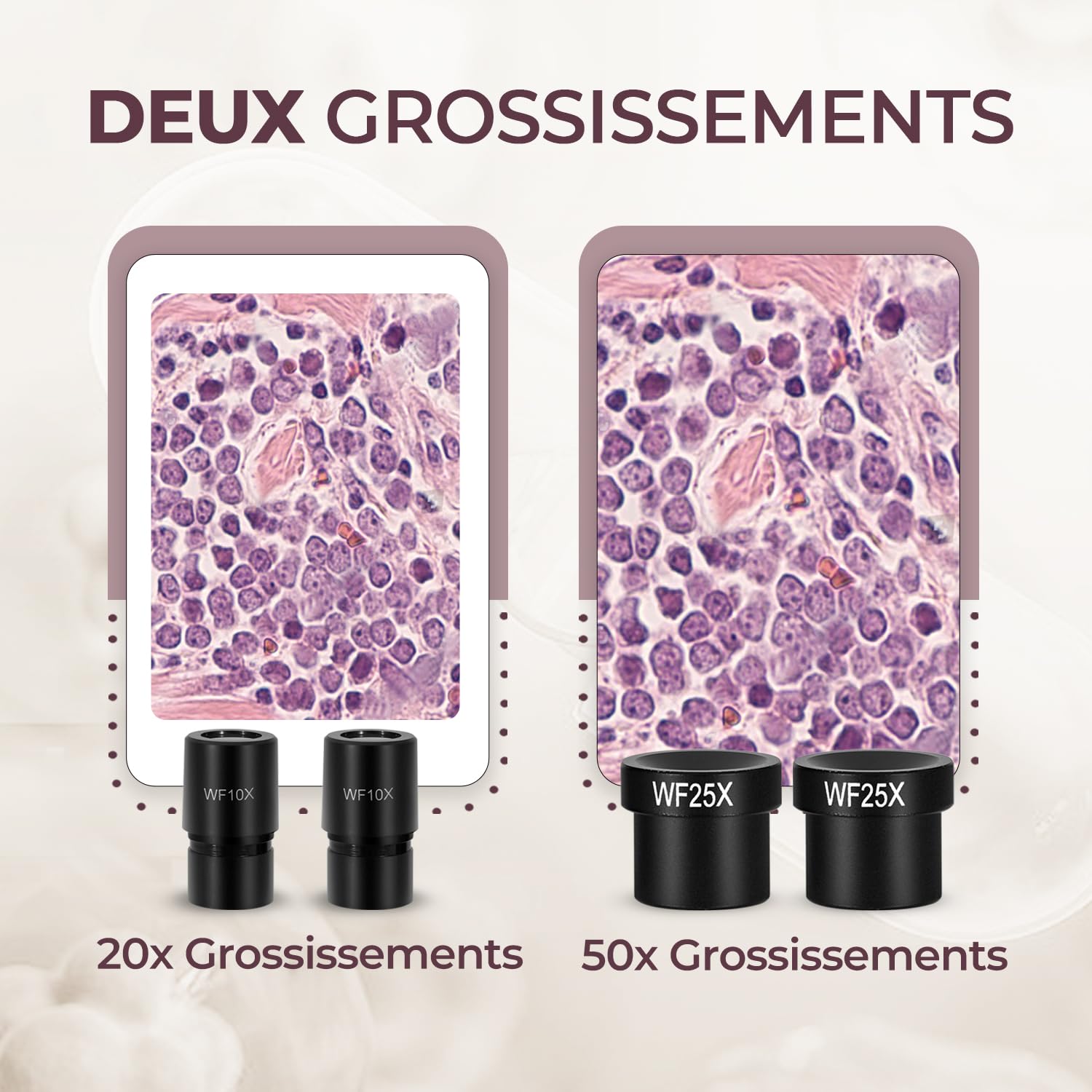 ESAKO Microscope pour Enfants à Double LED - Kit Scientifique avec 10 Lames préparées & 10 Lames Vierges
