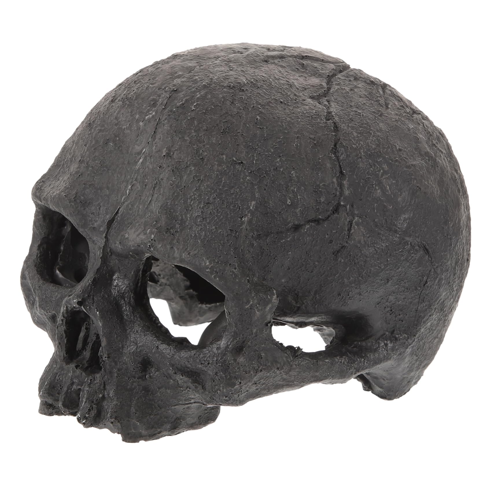 OUNONA Lot De 4 Têtes De Mort Décoratives pour Aquarium Tête De Mort Sirène Lézard Poissons Tropicaux Accessoires pour Aquarium Faux Reptiles Squelette en Résine Noire