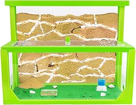 Anthouse. en - Natural Sand Ant Tree - Kit 3D L Shape Ant (Sandwich + Foraging Box) - Ant Farm with Ant Colony Included - 25x20x1cm and 10x24x10cm - Green
