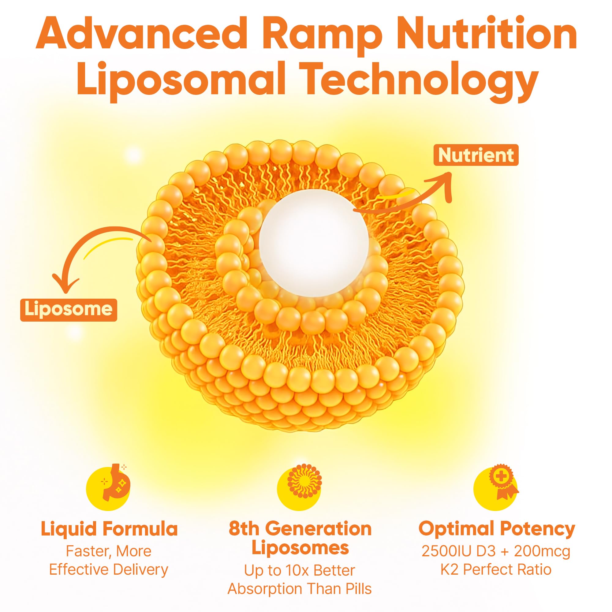 Liposomal D3 K2 Liquid – Vitamin D3 2500IU + K2 MK-7 200mcg – Bone Density, Calcium Absorption & Immune Support – Liquid Vitamin D Drops – Vegan, Non-GMO – 60 Servings — Amazon image 5