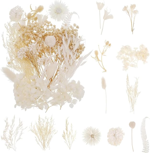 QINREN Natural Dried Flowers, Real Flowers Natural Mixed DIY pressed flowers Craspedia Globosa Yellow Billy Balls for DIY Candle Resin Jewelry Nail Pendant Crafts Making Art Floral Decorations
