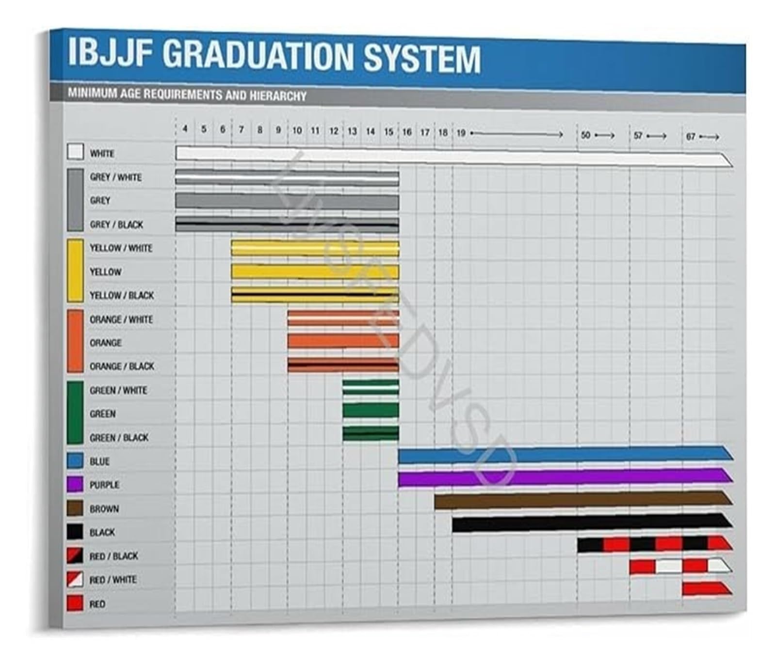 BIANMTSW Martial Arts Belt System Poster Jiu Jitsu BJJ Rankings Canvas for Fight School Changing Room Decor Framed,16x24inch(40x60cm)