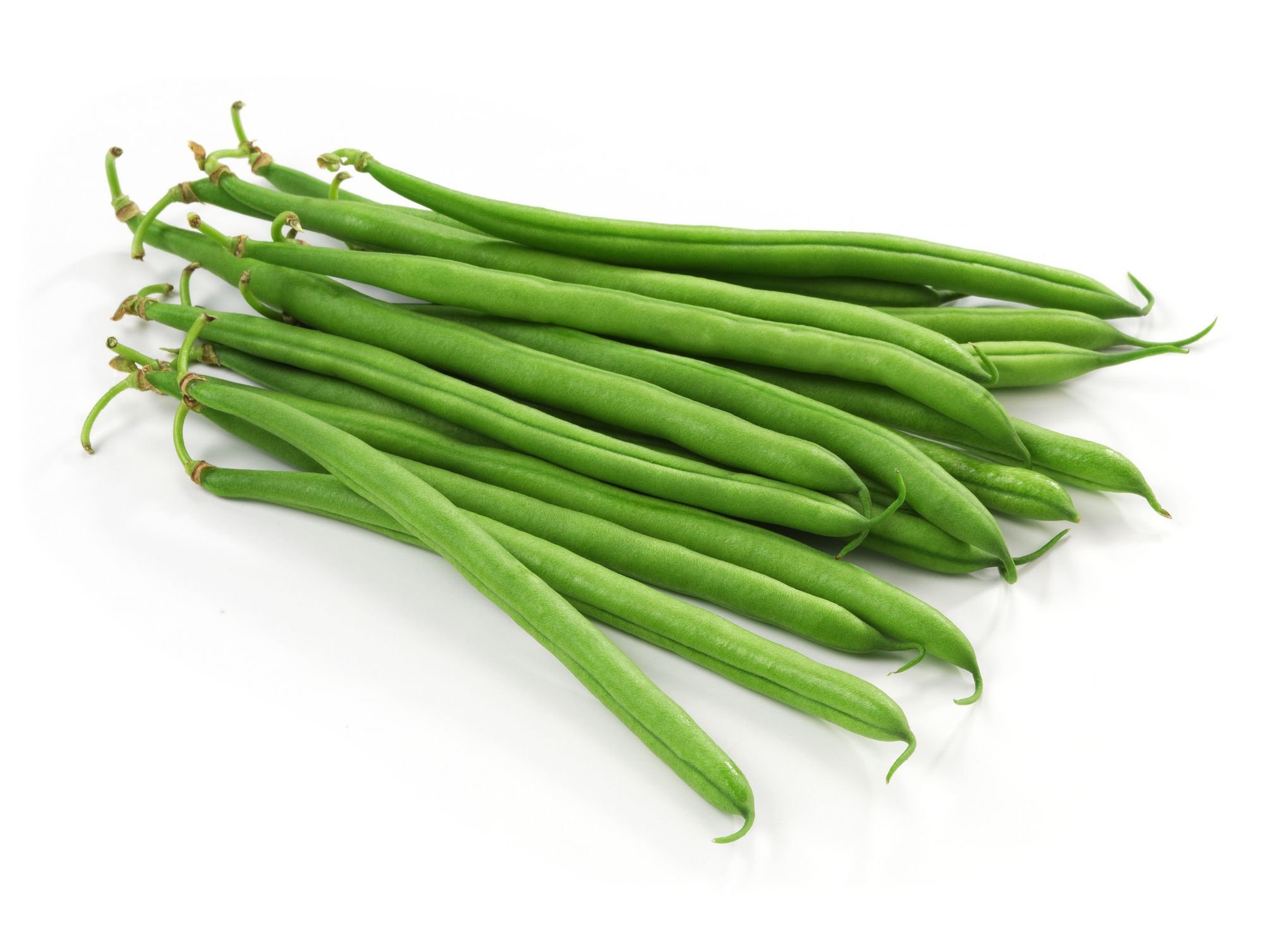 Pmw - Germination Purpose - Beans Seeds - 40 Seeds Approximate-image-47