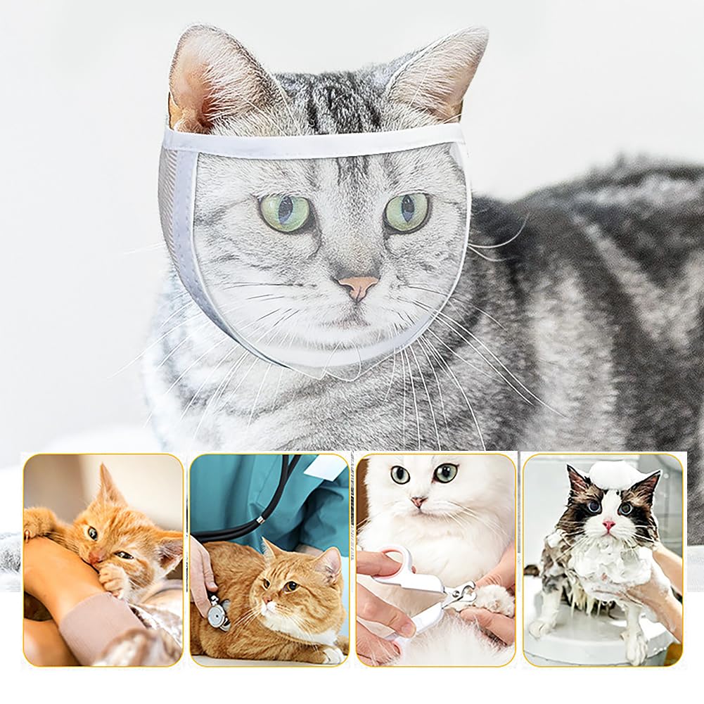 Museruola Trasparente Per Gatti - Anti Leccamento Ferite