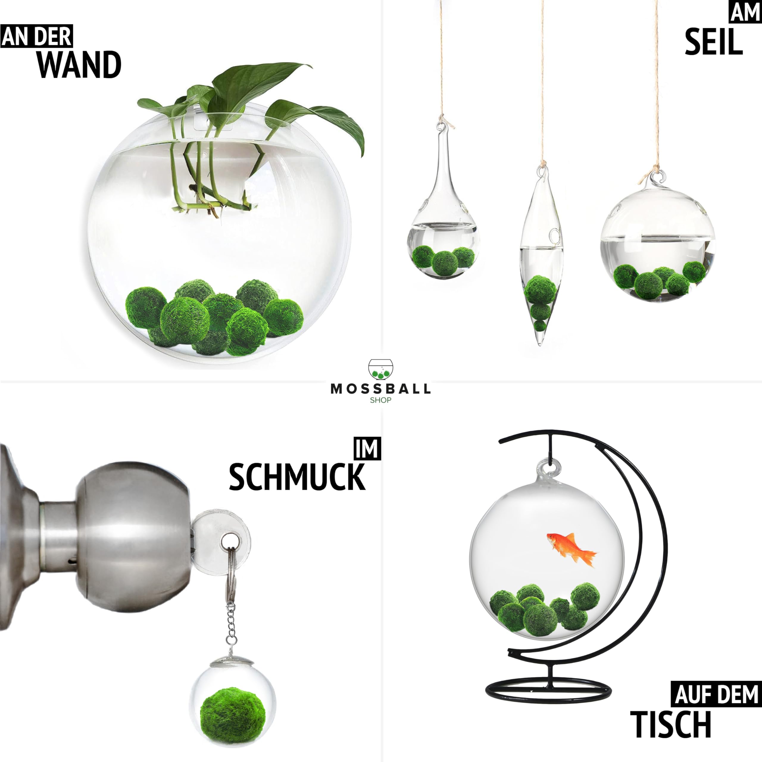20 + 1 szt. kule mchu akwarium Cladophora aegagropila linneiae mech rośliny akwariowe rośliny wodne dekoracja rośliny prawdziwe marimo piłki mchu akwarium marimo moosball (1-3 cm)