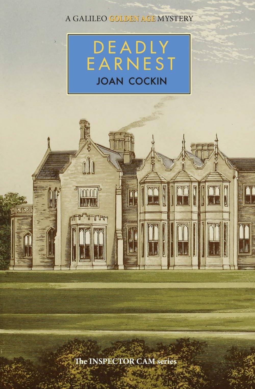 Deadly Earnest by Joan Cockin (Paperback Book)